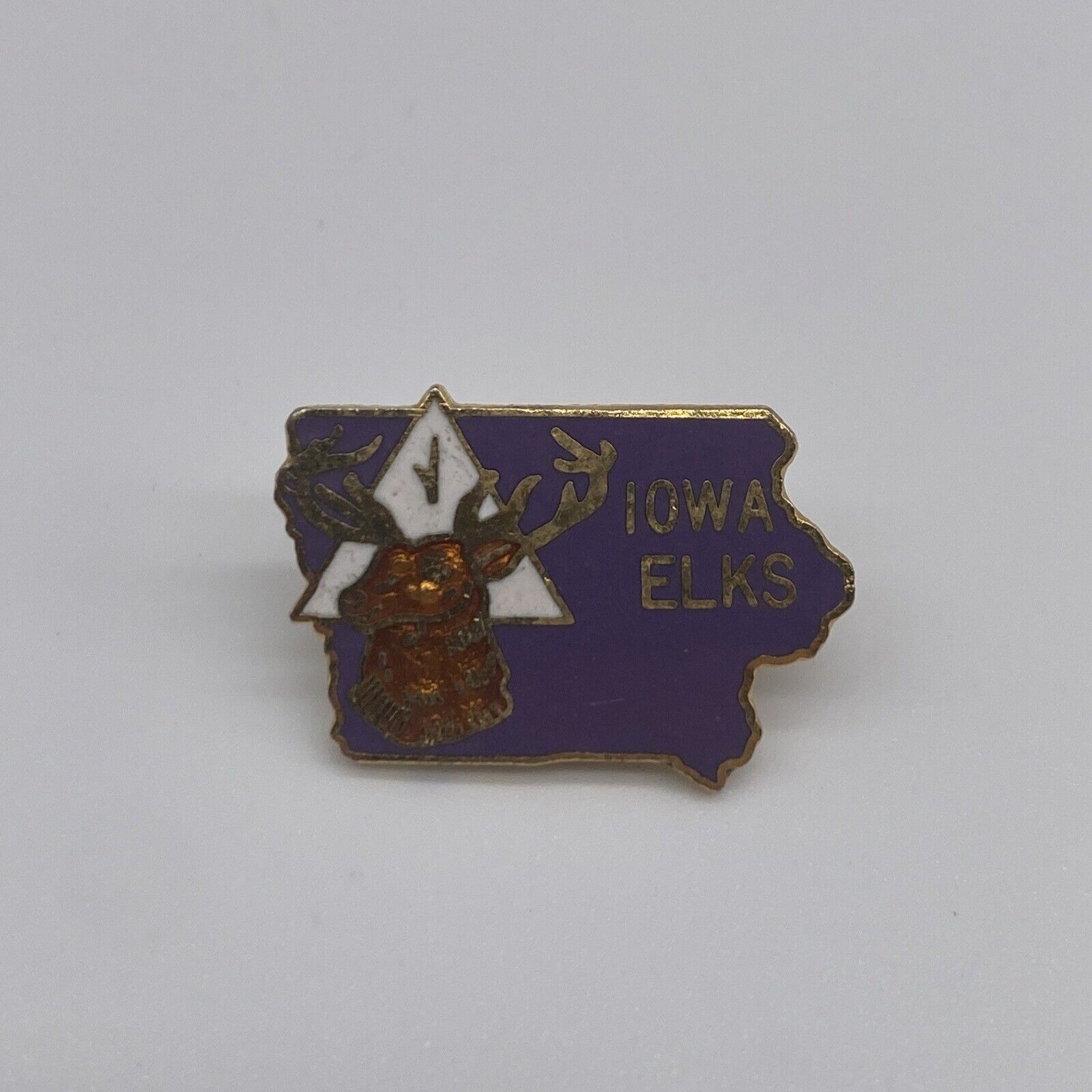Vintage Bpoe Iowa Elks Lodge Lapel Pin For Sale Celebrity Carsz