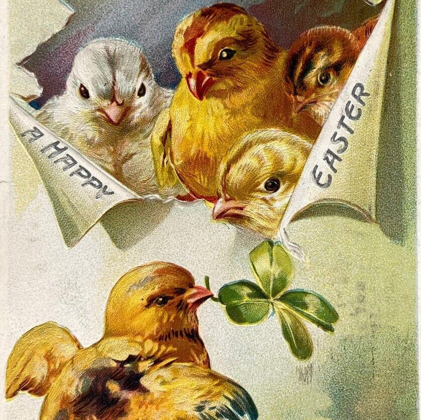 Postcard EASTER A Happy Easter Chicks Hatching from an Egg Embossed Tucks 1909