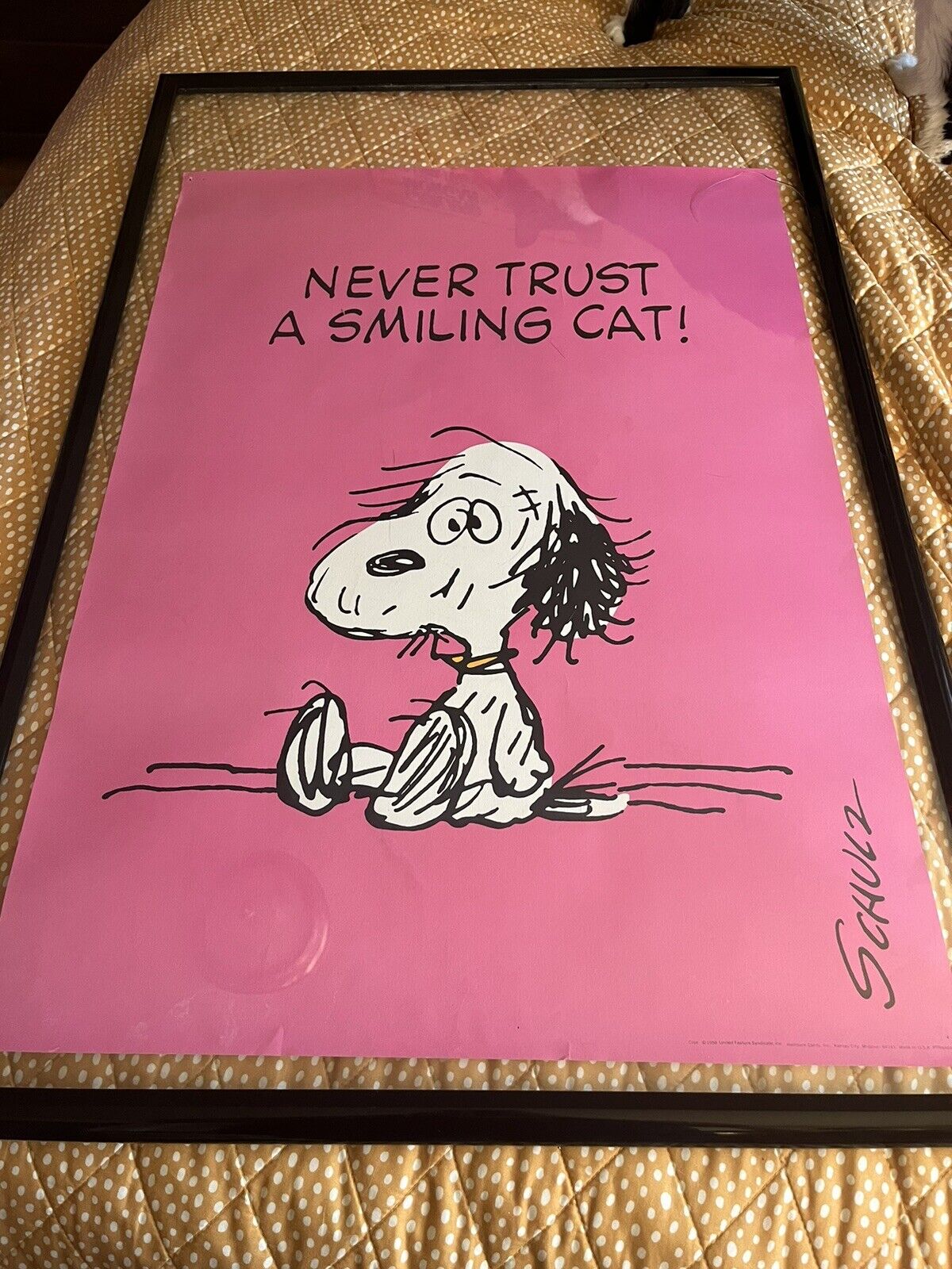 VTG 1958 SNOOPY Poster SCHULTZ Peanuts ‘Never Trust A Smiling Cat’ 20X28