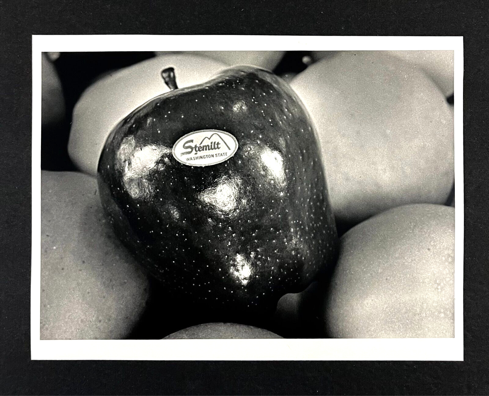 1998 Stemilt Apples Washington State Red Delicious Apple Fruit VTG Press Photo