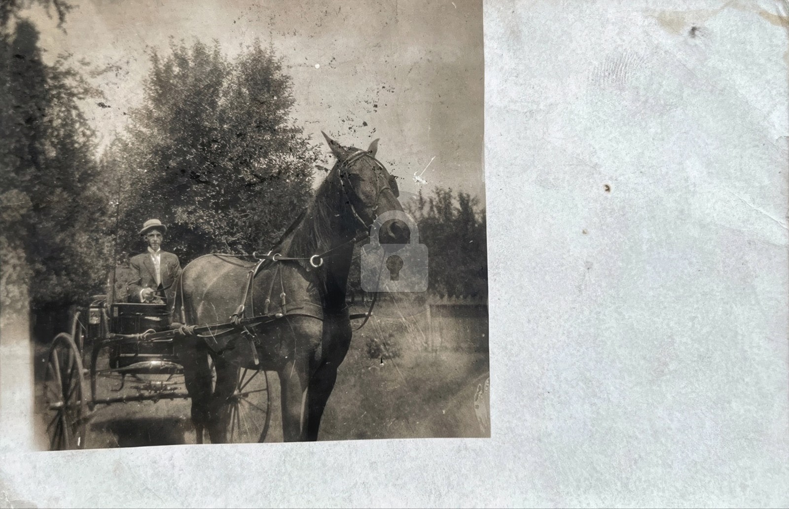 1908 Morrisonville Christian Co IL Illinois Horse RPPC Photo Postcard COPY