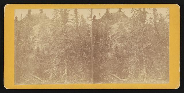 Photo:Lake Superior 1900s Forest View Stereo Landscape Print