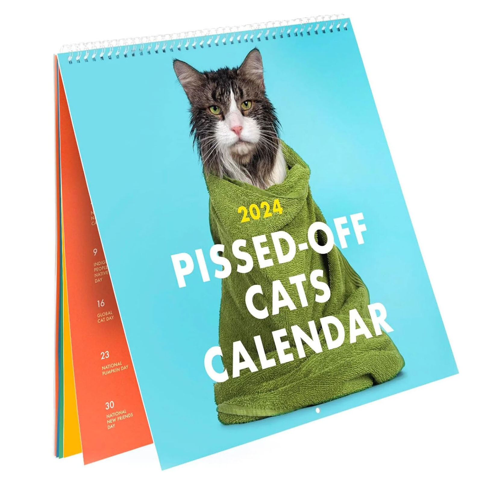 2024 PissedOff Cats Calendar / Funny Cat Wall Calendar for Sale