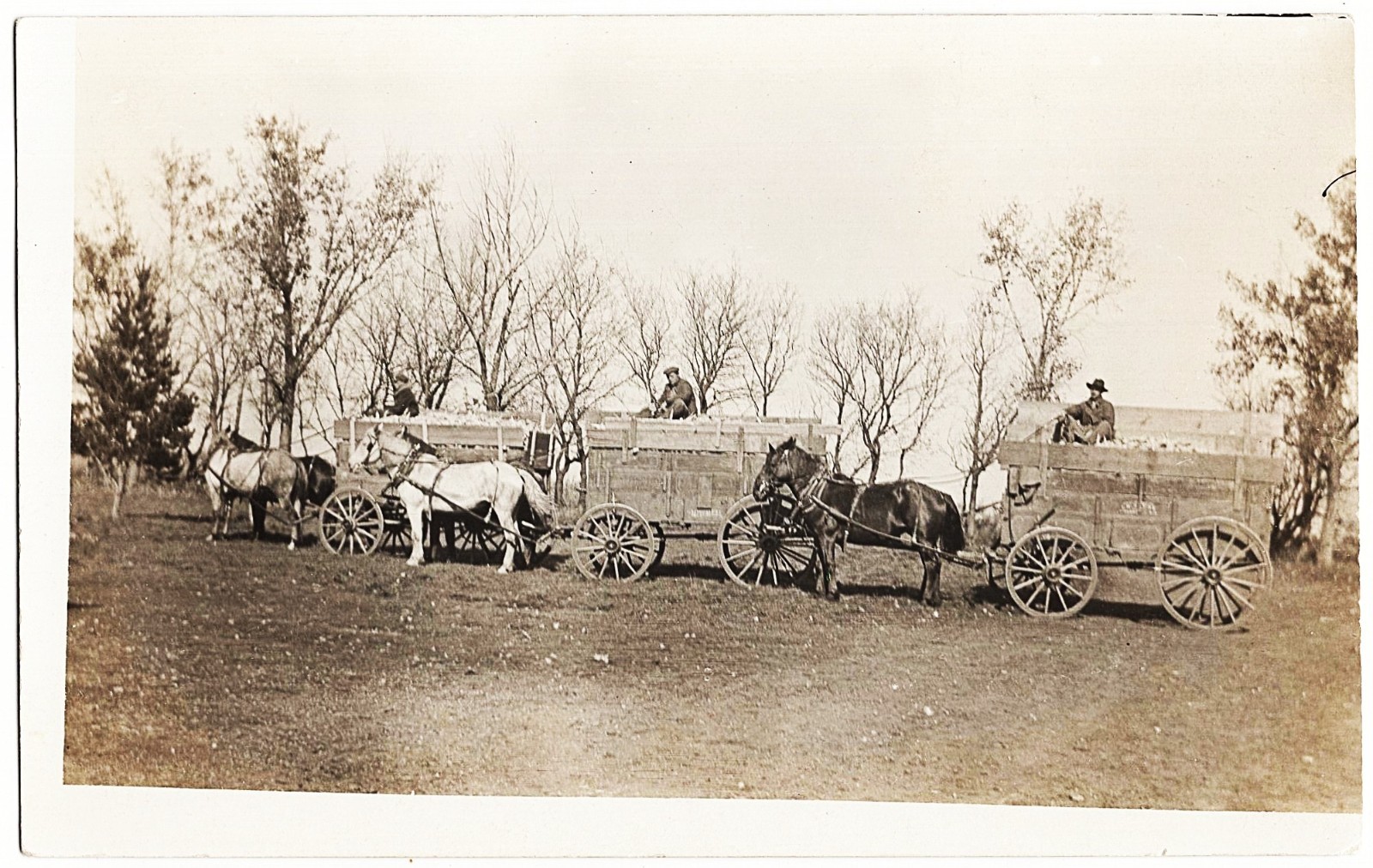 real photo Parker SD - Farming Wagons Agriculture antique postcard RPPC