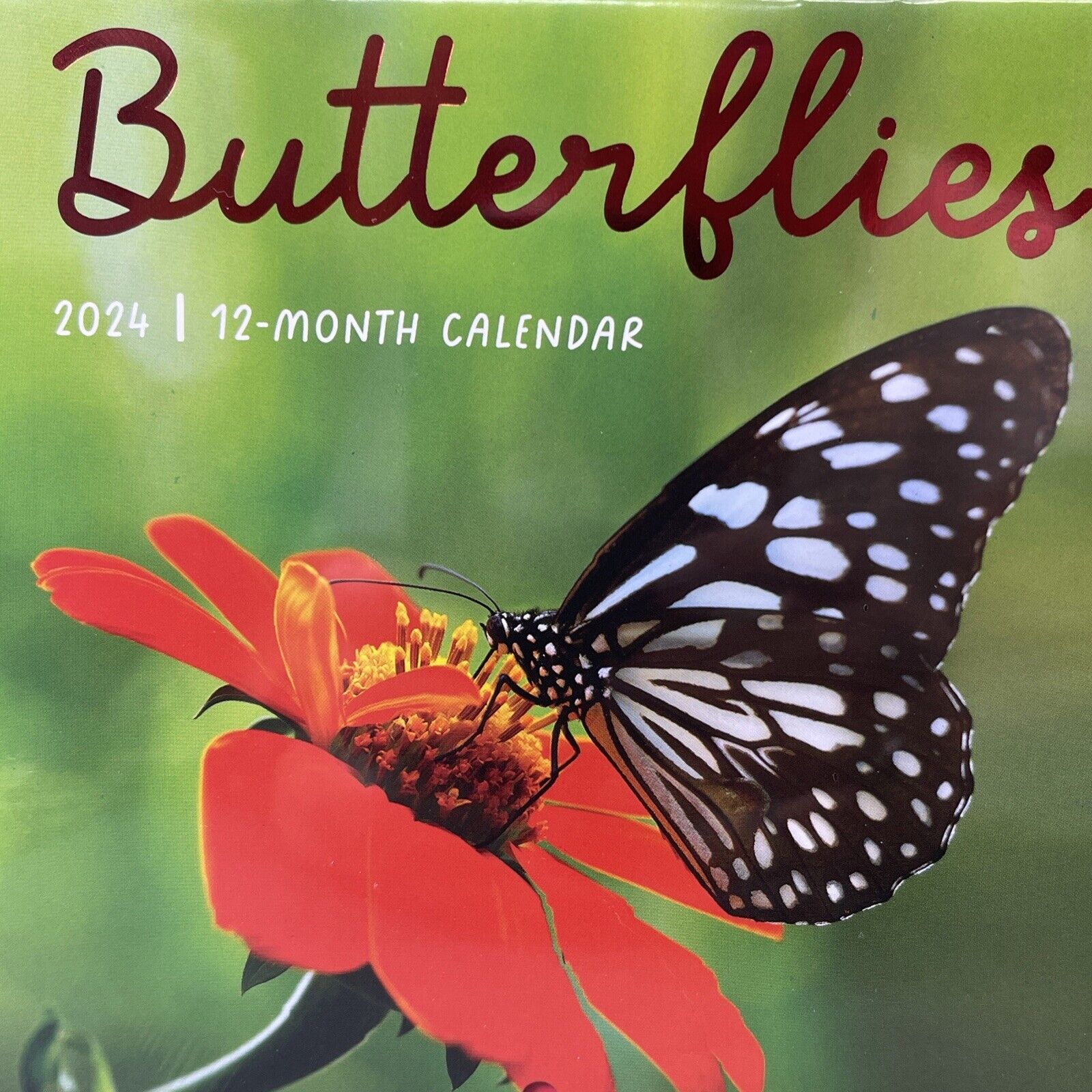 2024 Blossoms Butterflies 12 Month Wall Calendars 2pk 12\