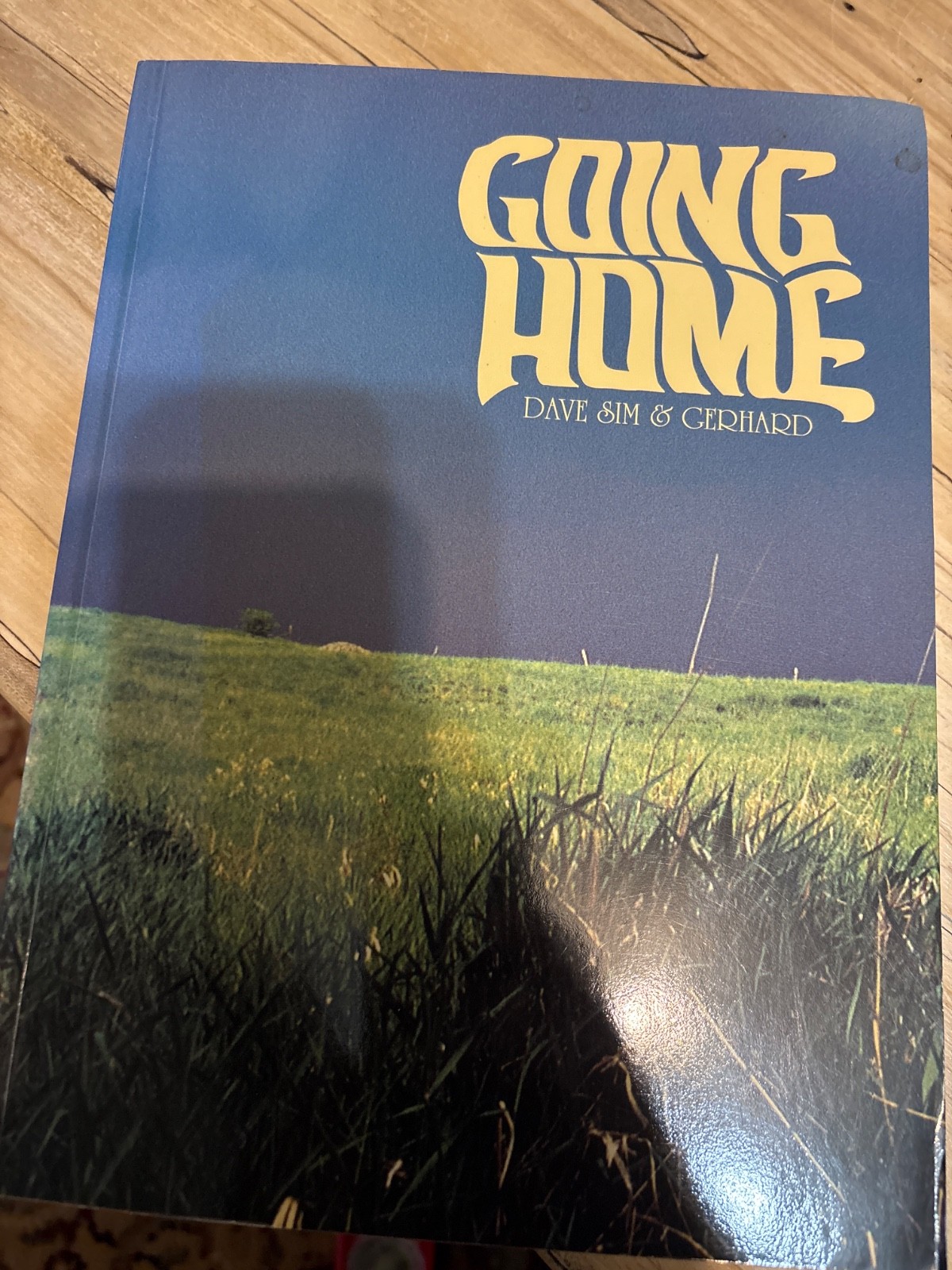 Cerebus 13: Going Home Dave Sim & Gerhard graphic novel very good condition