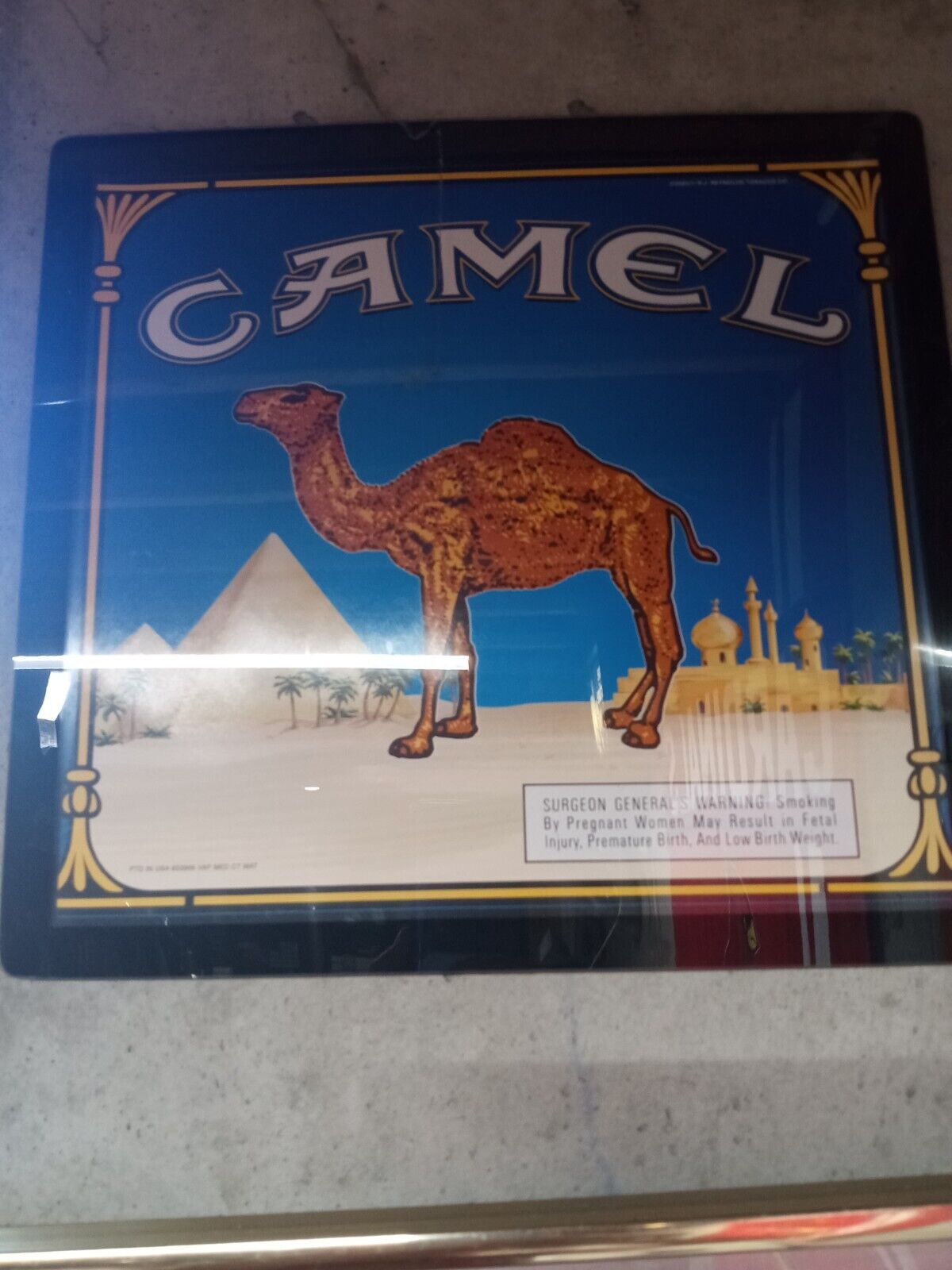 camel advertising display(12x12)acrylic/pryamid,desert scene/nos