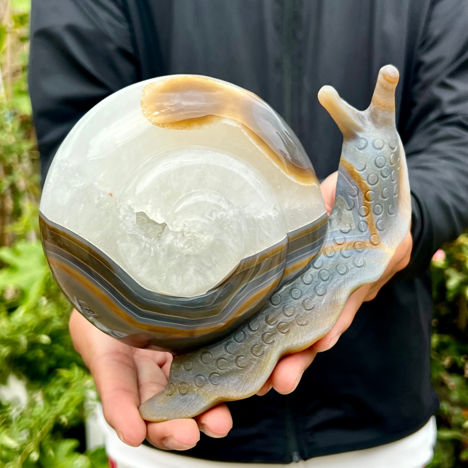 2.4LB   Hand Carved Agate Amethyst Druzy Snail Crystal Animal Statue Healing