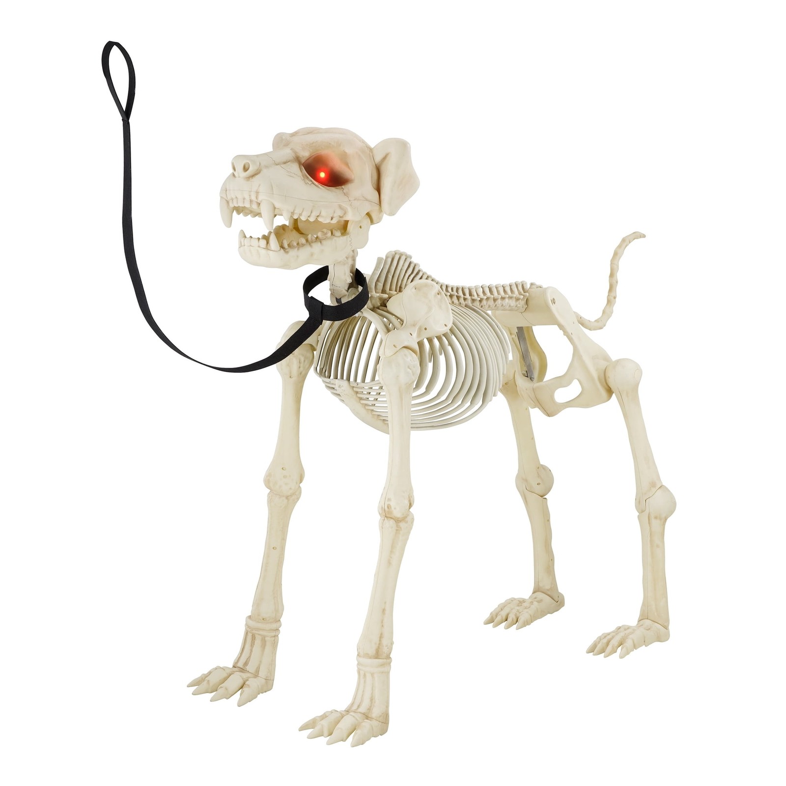 5 FT Animated Dog Skeleton Halloween Decoration 2026