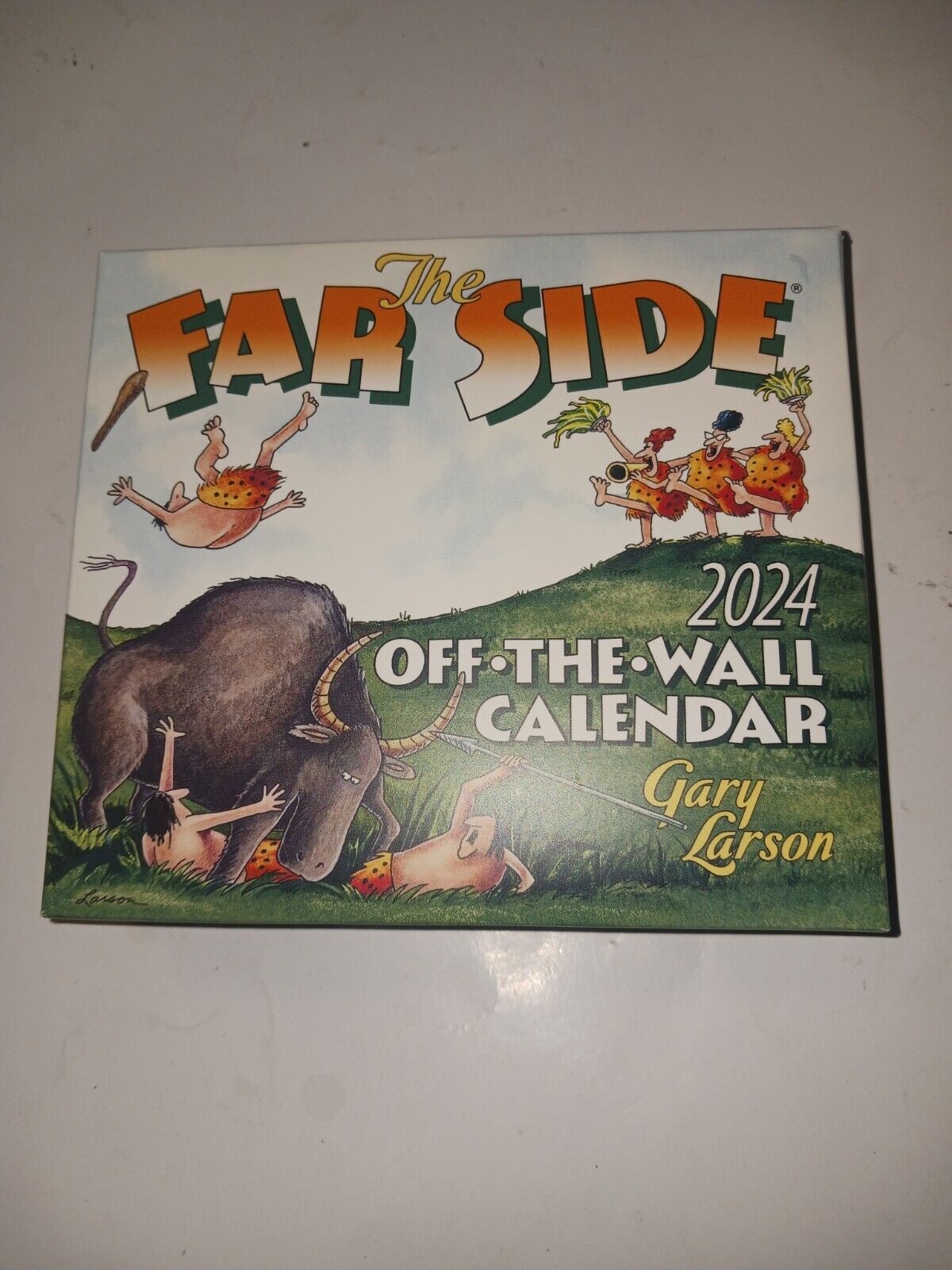 The Far Side® 2024 OffTheWall DayToDay Desk Calendar for Sale