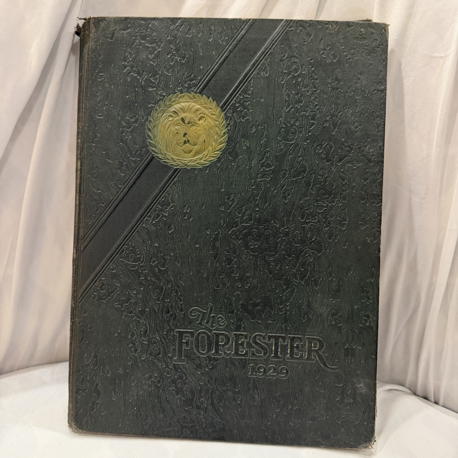 1929 Forester Forest Avenue High School Dallas TX Yearbook