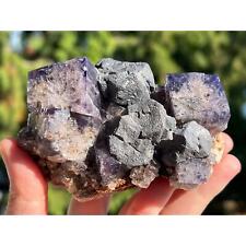 Lady Annabella Mine Purple Fluorite and Galena Cluster, Weardale, England picture