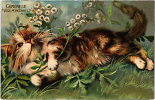 PC CATS, ARTIST SIGNED, BAKER, CHAMOMILE, Vintage Postcard (b47448) picture