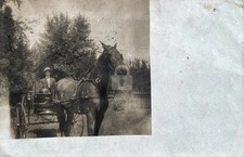 1908 Morrisonville Christian Co IL Illinois Horse RPPC Photo Postcard COPY picture