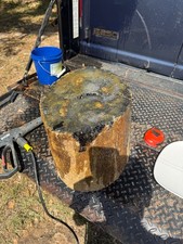 Rare black Petrified Palm Wood Jasper Texas fossil Geology y 80 pd stump picture