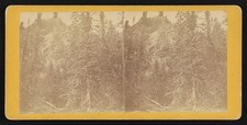 Photo:Lake Superior 1900s Forest View Stereo Landscape Print picture