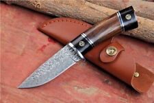 Beautiful Custom Handmade Damascus Steel Natural Wood Handle Hunting Bowie Knife picture