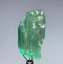 38 CTS Hiddenite Green Kunzite Crystal From Afghanistan picture