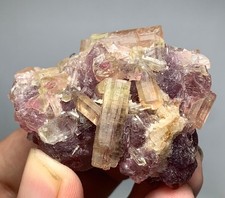 215 Carat Natural Watermelon Tourmaline Crystal Bunch From Afghanistan picture