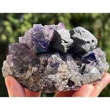 Lady Annabella Mine Purple Fluorite Cube and Galena Cluster, Weardale, England picture